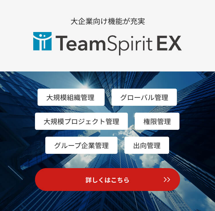 大企業向けエディションTeamSpirit EX